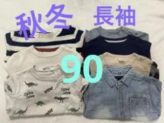 秋冬まとめ売り 子ども服　長袖　ロンT 90 男の子　恐竜　保育園　セーター