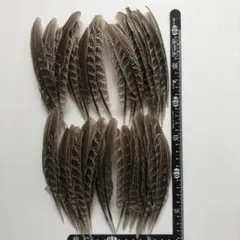 Item thumbnail for item 01012d9f-3a2e-4b08-8f93-4bd34a033697