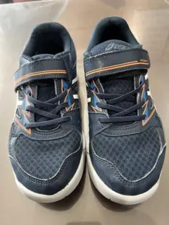 Item thumbnail for item f37e89a9-03c6-49a8-854e-8ac3f6121b09