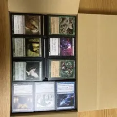 マジック：ザ・ギャザリング 枚数不明のサムネイル