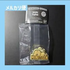 MINITEEN ミニティーン ぷっくりめじるしアクセサリー ホシ タムタム