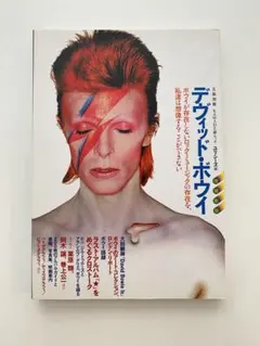 2026年最新】INSIDE DAVID BOWIEの人気アイテム - メルカリ