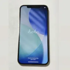 【即購入可】iPhone12Pro 海外版 256GB 【本体のみ】