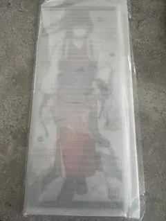 冨岡義勇 鬼滅の刃 干支 2026 午年 屛風アクリルパネル