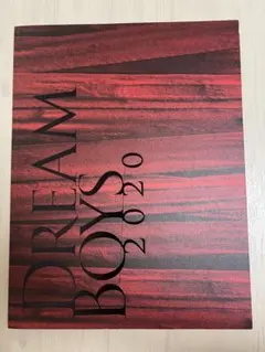 DREAM BOYS 2021 パンフレット