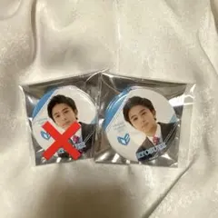 EBiDANmuseum 缶バッジ ICEx 八神遼介
