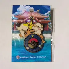 2個セット ポケモンセンターオキナワ記念ピカチュウ 2個セット ポケモンセンターオキナワ記念ピカチュウ 2つポケモン
