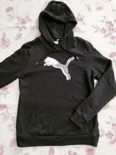 Item thumbnail for item e32f4690-9cfc-4231-a3b6-7097a075f401