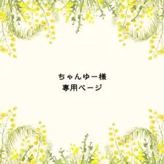 ちゃんゆー様　専用ページ