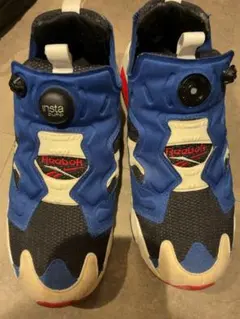 リーボックポンプフューリー 24.0.