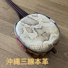 Item thumbnail for item 37572980-53cc-43cb-baec-d21b31e27871