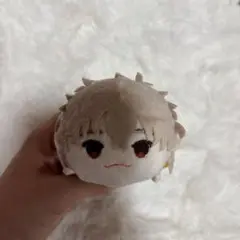WIND BREAKER もちころりん