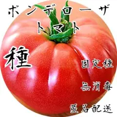 makoto様 リクエスト 4点 まとめ商品