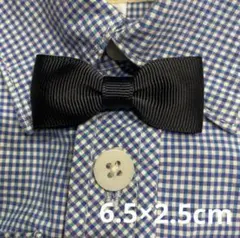 Item thumbnail for item 08030e7e-78f1-491a-ad09-36384268db4e