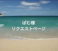 ぽむ様 リクエスト 2点 まとめ商品