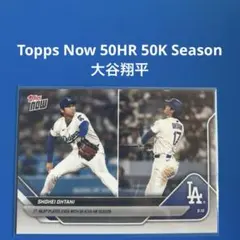 Item thumbnail for item a682dd31-0192-420a-9fd9-972bbcb66055