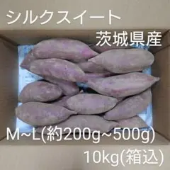 シルクスイート 10kg(箱込) M~L(約200g～500g) 茨城県産