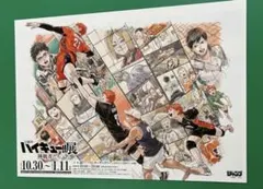 古舘春一 ハイキュー!!展 挑戦者たち フライヤー チラシ 5枚