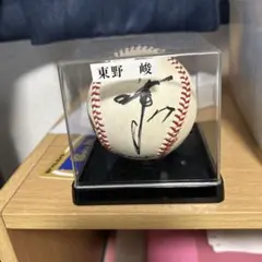 Item thumbnail for item 94c41141-41b2-4264-add9-62a0766347d0