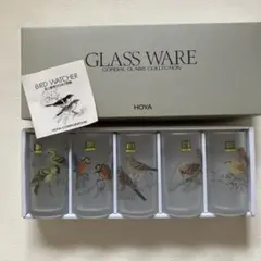 HOYA BIRD WATCHER 森上義孝 グラス 5客セット 鳥 野鳥