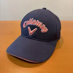 Item thumbnail for item 1e275cc3-090c-4cb9-b1a5-7d062a2ab283