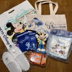 東京ディズニーリゾート バケーションパッケージグッズまとめ
