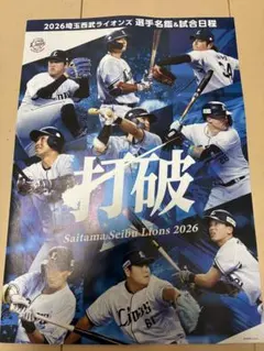 即購入可❣️】クリアファイル 埼玉西武ライオンズ 栗山巧 中村剛也