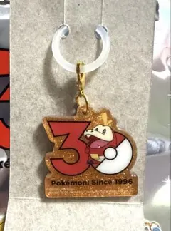 ポケットモンスター ポケチャーム 30周年 ホゲータ
