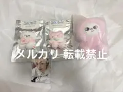 公式 SKZOO Jiniret ぬいぐるみ本体 15cm ジニレット 衣装小物 straykids 公式 SKZOO 本体 15cm ジニレット 衣装小物 - メルカリ