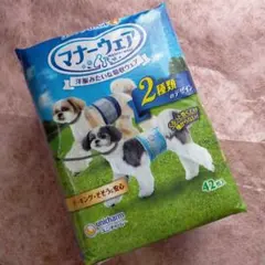 Item thumbnail for item 3ce01410-5fe9-41d2-8ad1-9c8bcef3a1ae