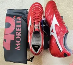 モレリア 2 JAPAN(ショートタン) 27cm