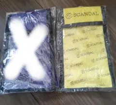 Item thumbnail for item 8a887a7d-8c3f-4ea5-806f-1c92ff95c25c