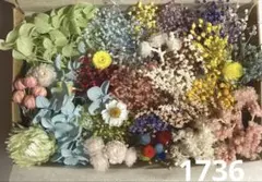 2025年最新】プリザーブドフラワー花材の人気アイテム - メルカリ