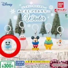 ディズニー めじるしアクセサリー Winter スノーギース