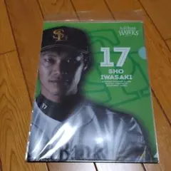 福岡ソフトバンクホークス クリアファイル