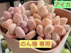 のん様 リクエスト 5点 まとめ商品