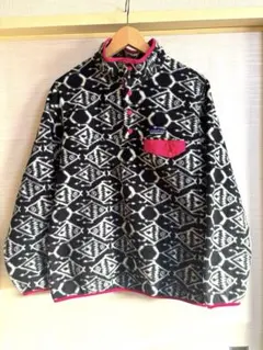 Patagonia パタゴニア　シンチラ　フリース