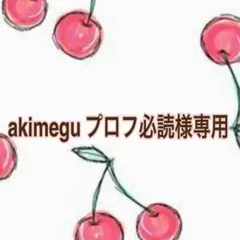 akimegu プロフ必読様 リクエスト 4点 まとめ商品