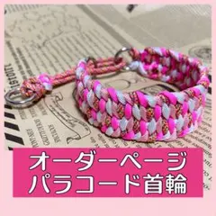 Item thumbnail for item 0fe79d97-f189-4345-b424-a4737e57e5b6