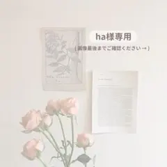 ♩ha様専用出品