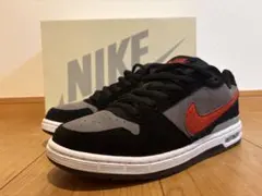 ポールロドリゲス　ズームエア　low