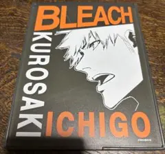 BLEACH ミラー
