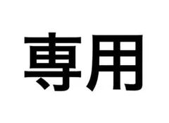 専用出品
