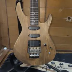 保証書付 FRAMUS D DS DIABLO PRO TS エレキギター - メルカリ