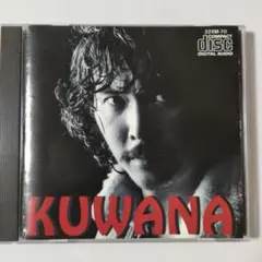 【せ021】AOR　桑名正博　ロック