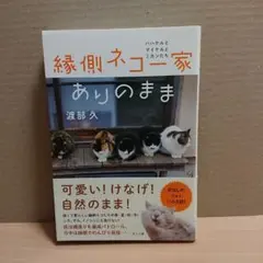 縁側ネコ一家 ありのまま ハハケルとマイケルとミカンたち