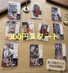 【早い者勝ち‼️】バレーボール2026日本代表 カード 29枚セット
