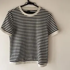 Dazy ブラック・ベージュストライプ 半袖ニット L