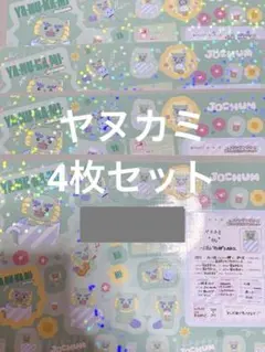 【即購入OK】JOCHUM シールダス ヤヌカミ 4点セット