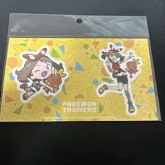 【新品未開封品】ポケモン　ハルカ&アチャモ　ステッカー